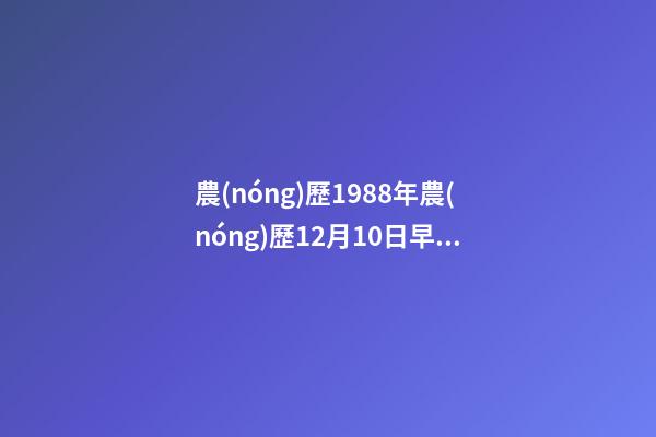 農(nóng)歷1988年農(nóng)歷12月10日早7點30分？五行缺什么？屬什么命 丙寅年臘月初十子時的命運-第1張-觀點-玄機派
